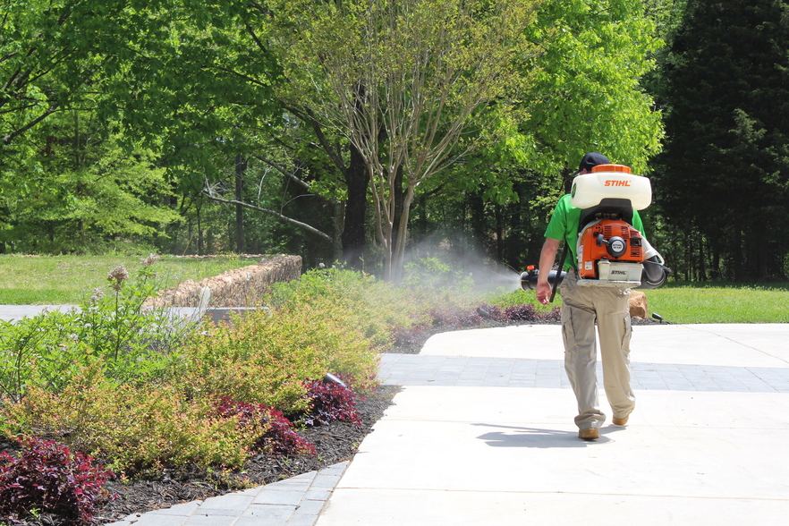 A Mosquito Joe technician sprays barrier treatment on shrubbery on an Madison County lawn.